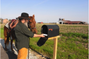elder man getting mail from mailbox with horse