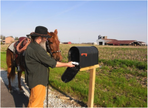 elder man getting mail from mailbox with horse