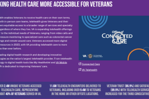 Informational webpage screenshot on "Making Health Care More Accessible for Veterans"